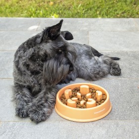 Slow Eating Food Bowl for Pets Slowfi InnovaGoods by InnovaGoods, Bowls - Ref: V0103268, Price: 4,34 €, Discount: %