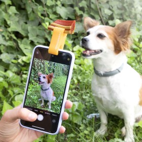 Clip de Selfies para Mascotas Pefie InnovaGoods de InnovaGoods, Soportes - Ref: V0103357, Precio: 2,46 €, Descuento: %