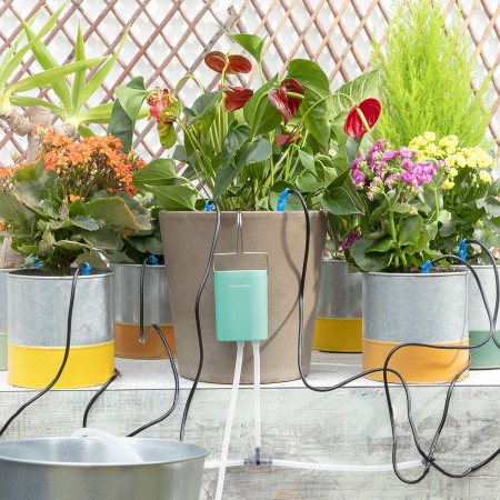 Automatic Drip Watering System for Plant Pots Regott InnovaGoods | Tienda24 - Global Online Shop Tienda24.eu