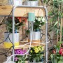 Automatic Drip Watering System for Plant Pots Regott InnovaGoods | Tienda24 - Global Online Shop Tienda24.eu