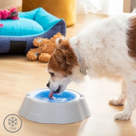 Garrafa com Depósito de Água e Comida para Animais de Estimação 2 em 1 Pettap InnovaGoods | Tienda24 - Global Online Shop Tienda24.eu