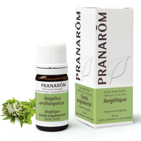 Fragrance oil Pranarôm by Pranarôm, Aromatherapy - Ref: V3400793, Price: 24,99 €, Discount: %