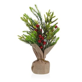 Decorative Plant Home ESPRIT Plastic | Tienda24 - Global Online Shop Tienda24.eu