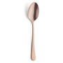 Set of Spoons Amefa (12 uds) | Tienda24 Tienda24.eu