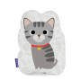 Kissen HappyFriday Mr Fox Bunt Katze 40 x 30 cm | Tienda24 - Global Online Shop Tienda24.eu