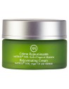 Creme Facial Innocence Innossence 802794 (50 ml) 50 ml | Tienda24 Tienda24.eu