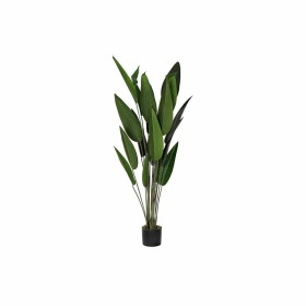 Planta Decorativa PVC Aço Cimento 10 x 10 x 9 cm 61 cm | Tienda24 Tienda24.eu