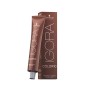 Dauerfärbung Igora Color10 Schwarzkopf 9-00 (60 ml) | Tienda24 Tienda24.eu