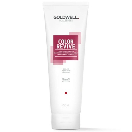 Shampooing Goldwell Dualsenses Color Revive Cool Red 250 ml | Tienda24 - Global Online Shop Tienda24.eu