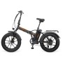 Elektrisches Fahrrad Youin BK1201 TEXAS II 250 W 10400 mAh 20" | Tienda24 - Global Online Shop Tienda24.eu