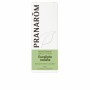 Essential oil Pranarôm  Eucalyptus 10 ml | Tienda24 - Global Online Shop Tienda24.eu