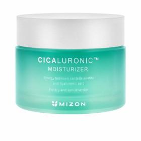 Crema Facial Mizon Cicaluronic 120 ml de Mizon, Hidratantes - Ref: S05117231, Precio: 28,56 €, Descuento: %