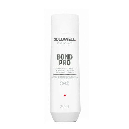 Shampoo Goldwell 250 ml | Tienda24 - Global Online Shop Tienda24.eu