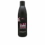 Shampoo Postquam TECHNICAL 250 ml | Tienda24 - Global Online Shop Tienda24.eu