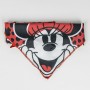 Welcome Gift Set for Dogs Minnie Mouse Red 5 Pieces by Minnie Mouse, Ropes - Ref: S0739913, Price: 9,90 €, Discount: %