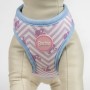 Dog Harness Barbie Pink XXS/XS | Tienda24 - Global Online Shop Tienda24.eu