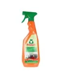 Nettoyeur de surface Kitchen Frosch (750 ml) | Tienda24 Tienda24.eu