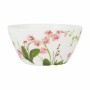 Bol Alfares Orchid 15 x 8 cm (24 Unités) de Alfares, Plats et plateaux - Réf : S2226247, Prix : 29,11 €, Remise : %