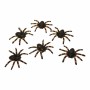 Halloween Decorations My Other Me Spider Shiny (6 uds) (6 x 7 cm) | Tienda24 - Global Online Shop Tienda24.eu