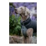 Cappotto per Cani Red Dingo Puffer Nero/Grigio 60 cm