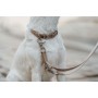 Collar para Perro Hunter Inari Beige M 30-45 cm | Tienda24 Tienda24.eu