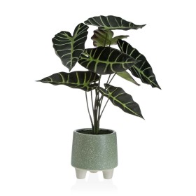 Planta Decorativa Atmosphera 7 x 14 cm Verde PVC | Tienda24 - Global Online Shop Tienda24.eu