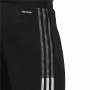 Football Training Trousers for Adults Adidas Tiro 21 Black Men | Tienda24 Tienda24.eu