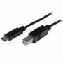 Cabo USB C para USB B Startech USB2CB2M       (2 m) Preto | Tienda24 - Global Online Shop Tienda24.eu