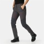 Pantalón de Chándal para Adultos Regatta Questra V Seal Gris oscuro | Tienda24 Tienda24.eu