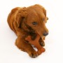 Jouet pour chien Nylabone 20 Marron animaux de Nylabone, Jouets à mordre - Réf : S6104420, Prix : 8,37 €, Remise : %