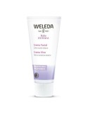 Crema Facial Baby Derma Weleda (50 ml) | Tienda24 Tienda24.eu