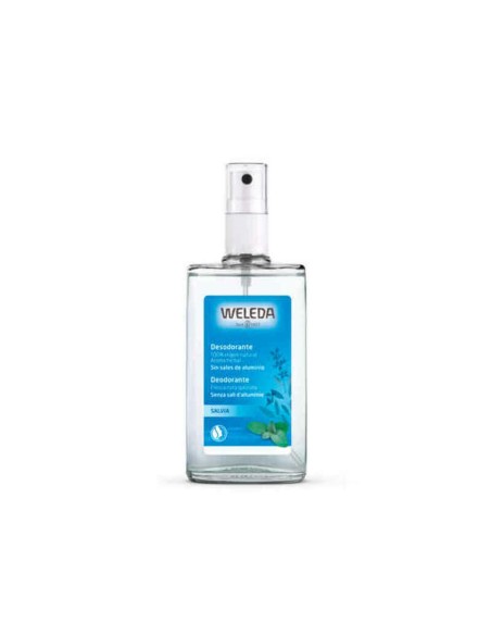 Desodorizante em Spray Weleda Sálvia (100 ml) | Tienda24 Tienda24.eu