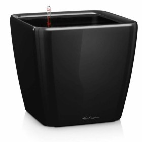 Plant pot EDA Red Anthracite Dark grey Plastic Squared 5 cm | Tienda24 Tienda24.eu