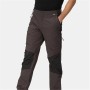 Pantalon pour Adulte Regatta Questra V Noir Homme | Tienda24 - Global Online Shop Tienda24.eu