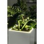 Plant pot Lechuza 40 x 40 x 76 cm Silver (1 Unit) | Tienda24 Tienda24.eu