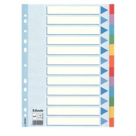 Biombo Esselte Multi-coloured Cardboard Dividers Multicolor de Esselte, Accesorios - Ref: M0302967, Precio: 6,13 €, Descuento: %