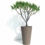 Planter Garden ID | Tienda24 - Global Online Shop Tienda24.eu