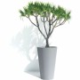 Planter Garden ID | Tienda24 - Global Online Shop Tienda24.eu