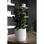 Selbstbewässernder Blumentopf Plastiken  Weiß Ø 48 cm | Tienda24 - Global Online Shop Tienda24.eu