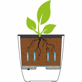 Self-watering planter Garden ID White 17 x 50 x 17 cm | Tienda24 - Global Online Shop Tienda24.eu