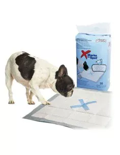 Tapis pour chien Rafraîchissant Bleu Mousse Gel 49,5 x 1 x 90 cm (6 Unités) | Tienda24 Tienda24.eu