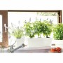 Planter Deroma White 35 x 79 x 35 cm 75 L | Tienda24 Tienda24.eu