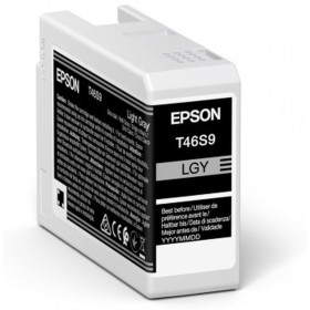 Cartouche d'encre originale Epson C13T46S900 Gris de Epson, Toners et encre pour imprimante - Réf : S7733013, Prix : 34,87 €,...