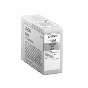 Cartouche d'encre originale Epson C13T850900 Noir de Epson, Toners et encre pour imprimante - Réf : S7733295, Prix : 63,83 €,...