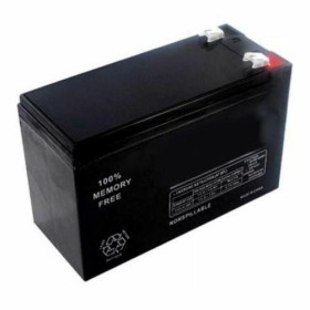 Batteria per Gruppo di Continuità UPS Salicru UBT 12/9 9 Ah 12V 12 V | Tienda24 - Global Online Shop Tienda24.eu