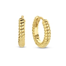 Ladies' Earrings Michael Kors MKC1247AN040 | Tienda24 Tienda24.eu