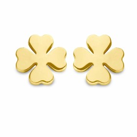 Boucles d´oreilles Femme Ti Sento 7769GG Plastique | Tienda24 Tienda24.eu