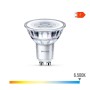 Bombilla LED Dicroica Philips F 4,6 W 50 W GU10 390 lm 5 x 5,4 cm (6500 K) de Philips, Bombillas LED - Ref: S7907789, Precio:...