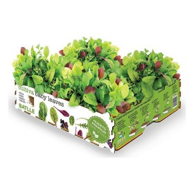 Set de culture Batlle Baby Leaves Salades 40 x 29 x 10,5 cm 2,6 Kg de Batlle, Kits prêt-à-pousser - Réf : S7911863, Prix : 11...