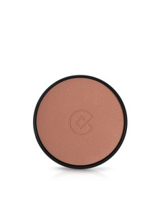 Blush Shiseido 4045787231045 Nº 07 | Tienda24 Tienda24.eu